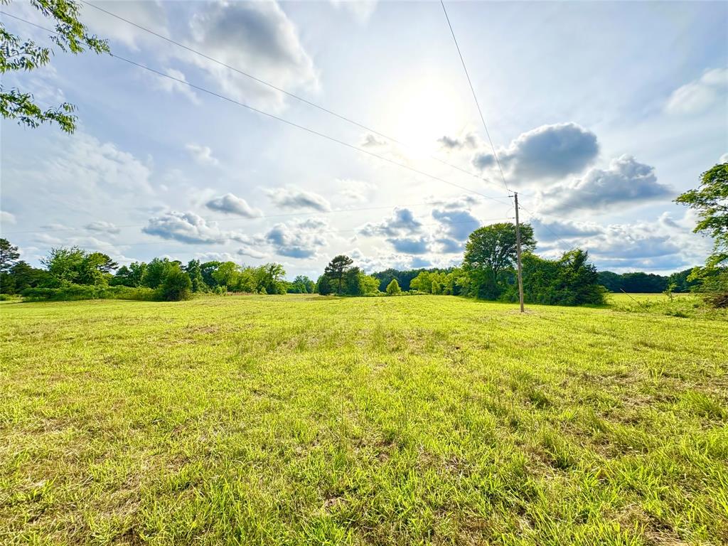 Tbd County Road 1770 Property Photo 5
