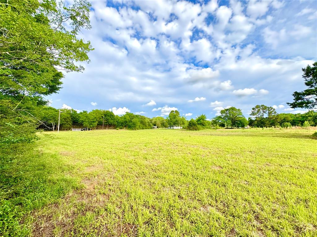 Tbd County Road 1770 Property Photo 9