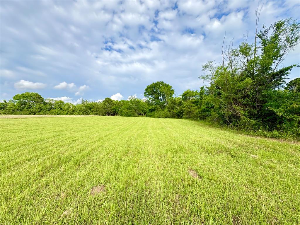 Tbd County Road 1770 Property Photo 10
