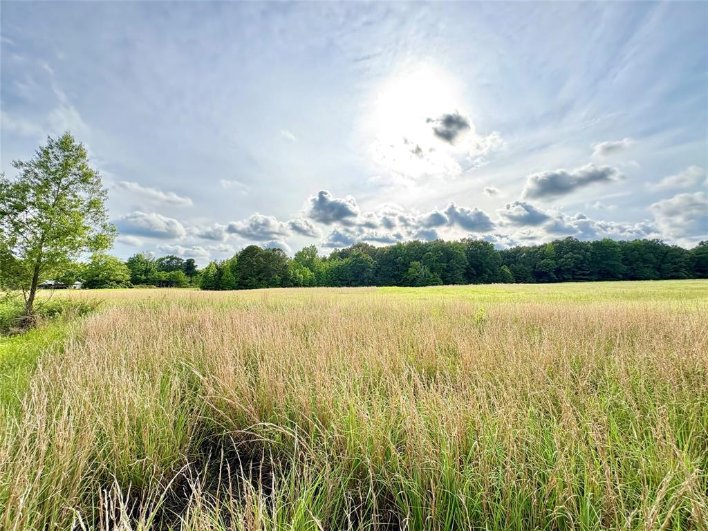 Tbd County Road 1770 Property Photo 11