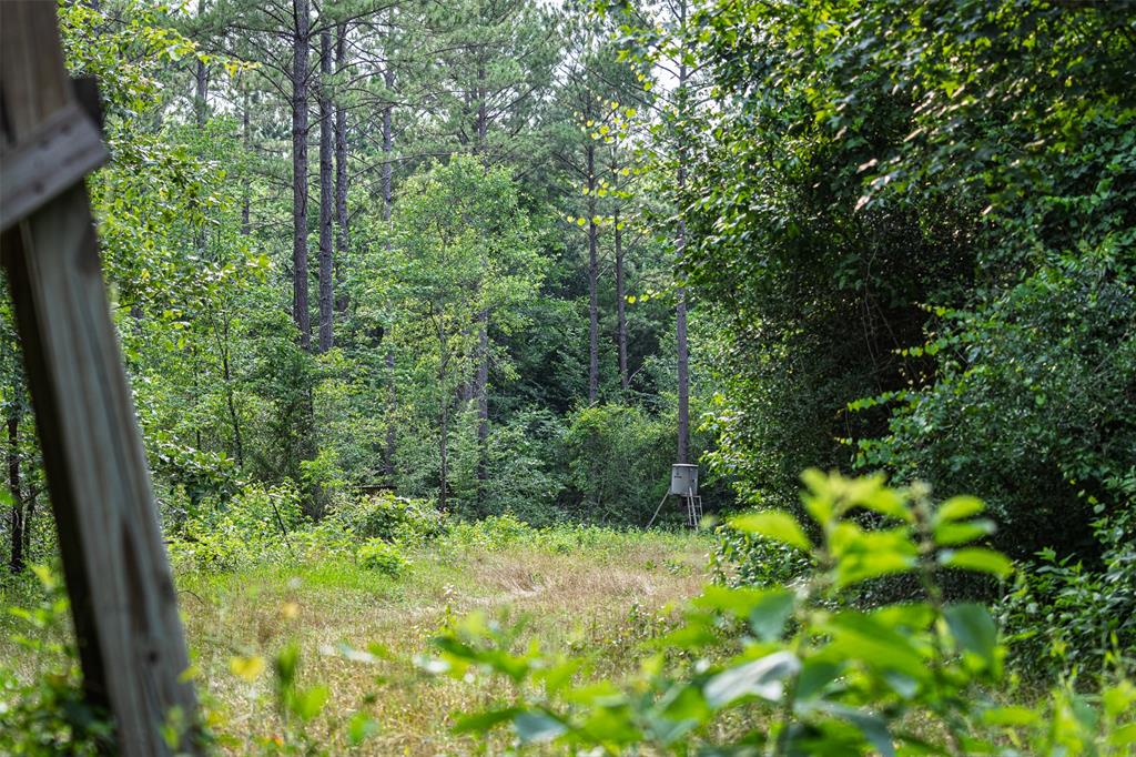 00 County Road 2112 Property Photo 9