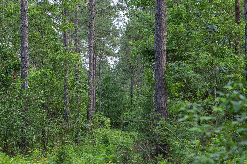 00 County Road 2112 Property Photo 14