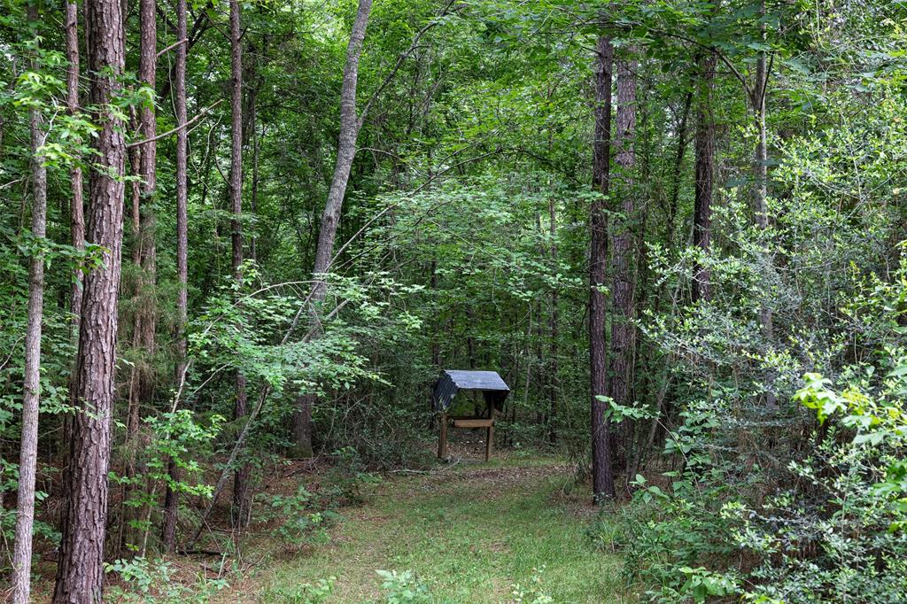 00 County Road 2112 Property Photo 17