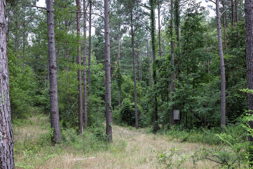00 County Road 2112 Property Photo 19