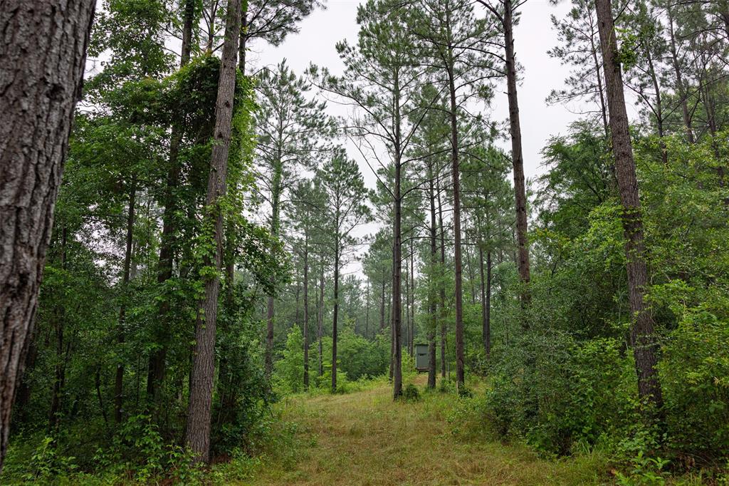 00 County Road 2112 Property Photo 20