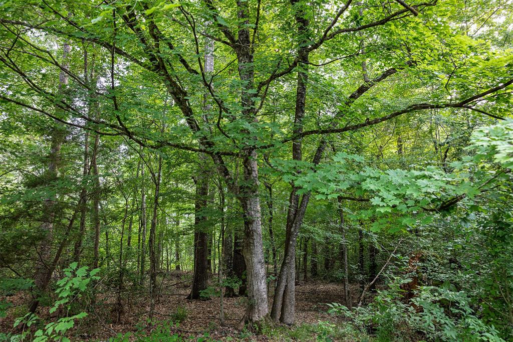 00 County Road 2112 Property Photo 22