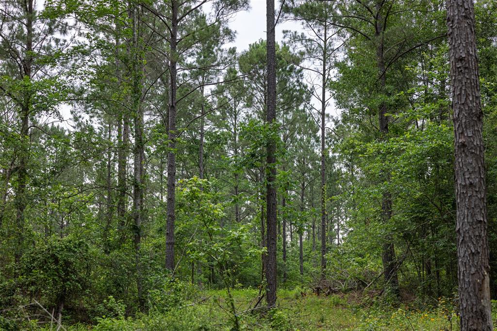 00 County Road 2112 Property Photo 28