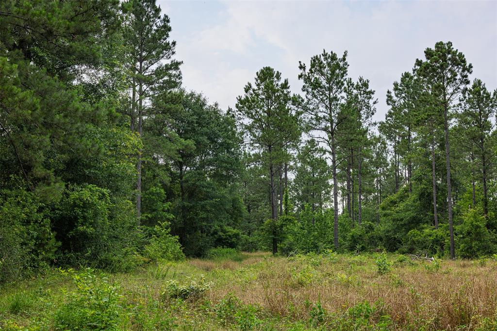 00 County Road 2112 Property Photo 29