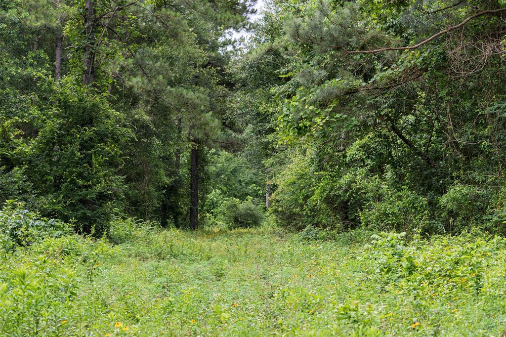 00 County Road 2112 Property Photo 31