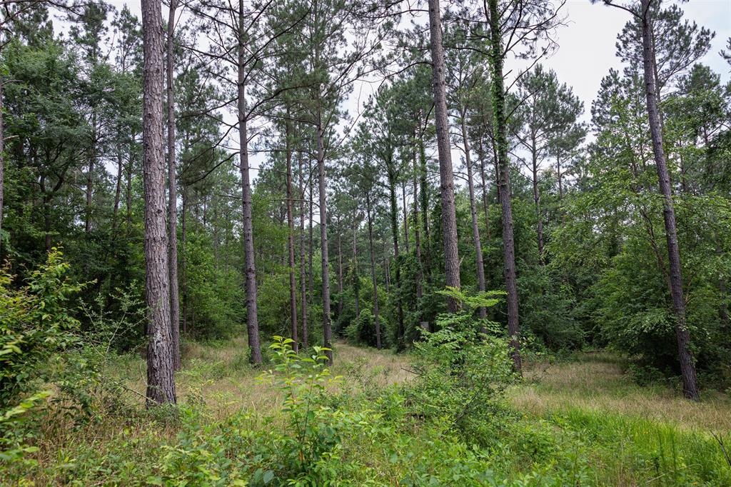 00 County Road 2112 Property Photo 34