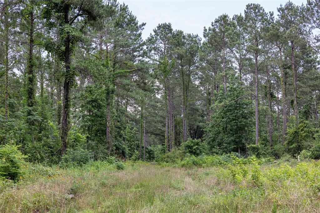 00 County Road 2112 Property Photo 35