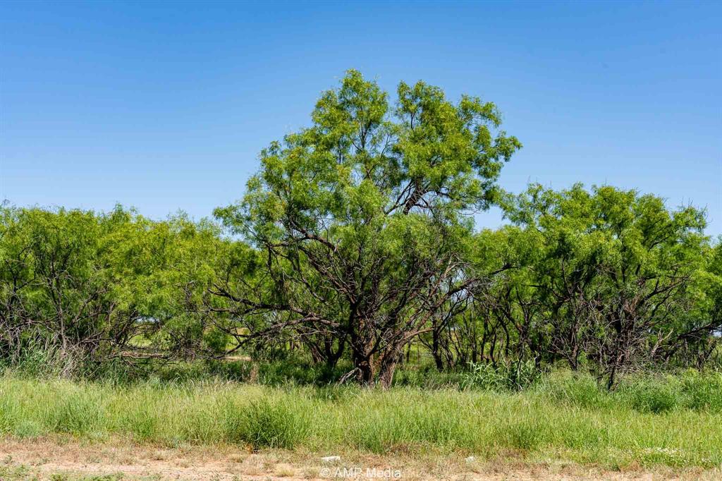 Fm 2142 Fm 2142 Property Photo 2
