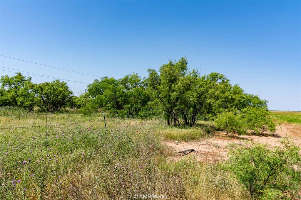 Fm 2142 Fm 2142 Property Photo 6