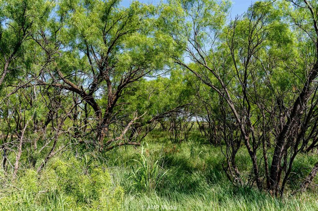 Fm 2142 Fm 2142 Property Photo 9