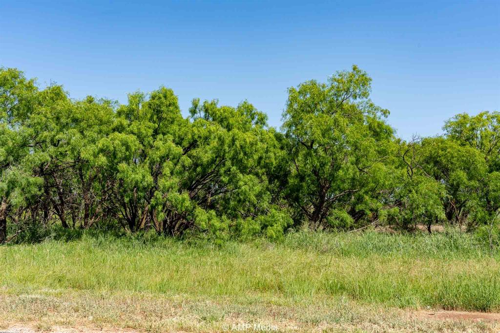 Fm 2142 Fm 2142 Property Photo 11