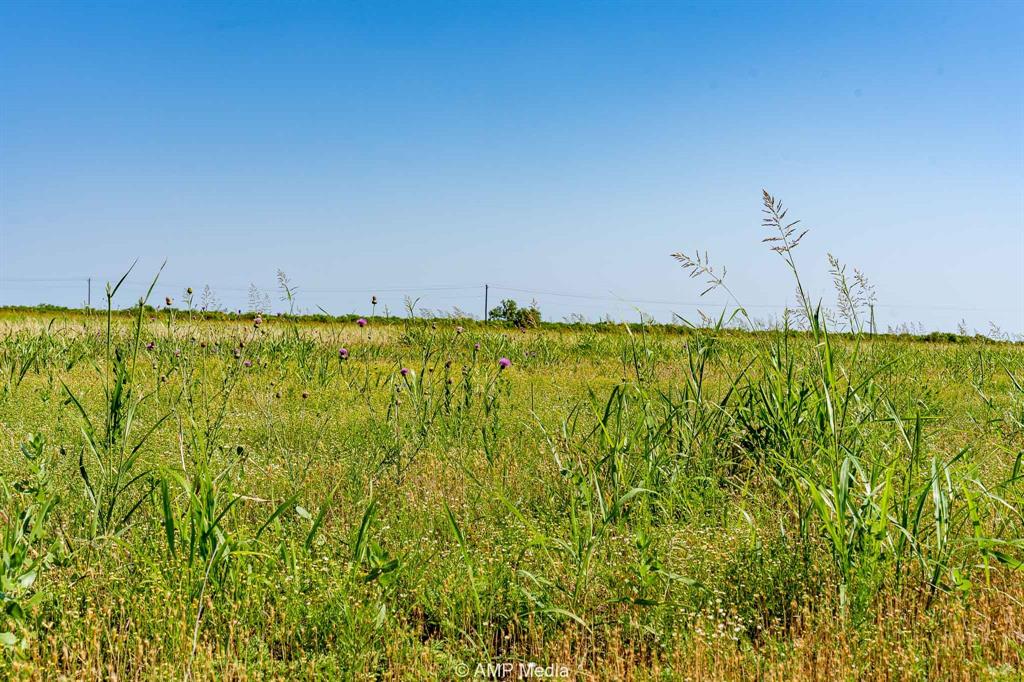 Fm 2142 Fm 2142 Property Photo 14