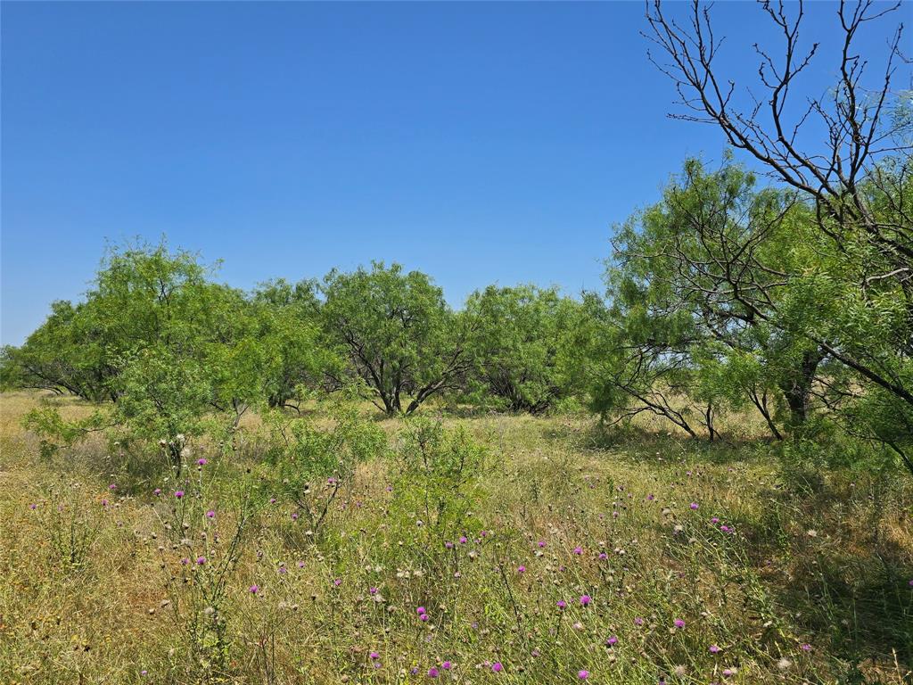 Tbd Cr 258 Property Photo 1