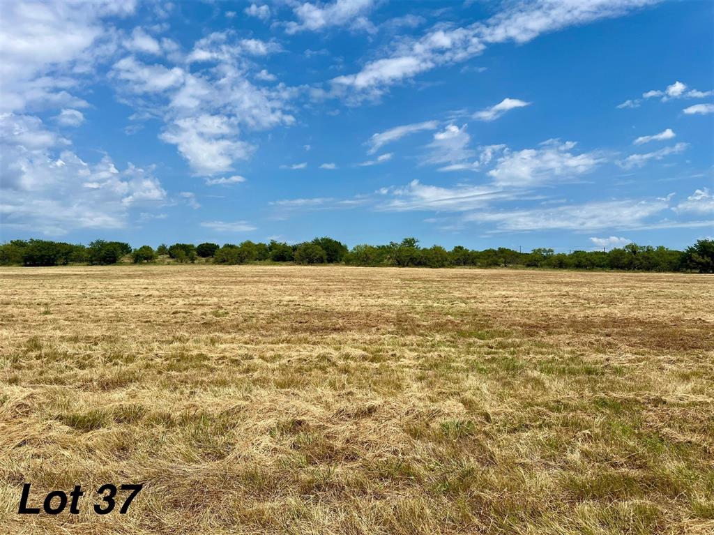 910 Old Oran Road Property Photo 1