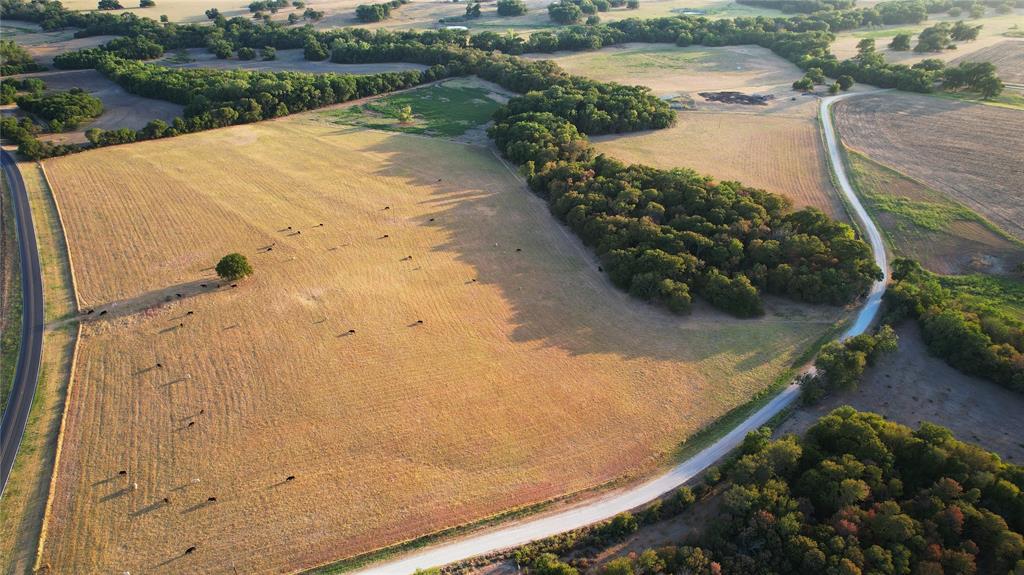 Tbd Fm 2643 Property Photo 6