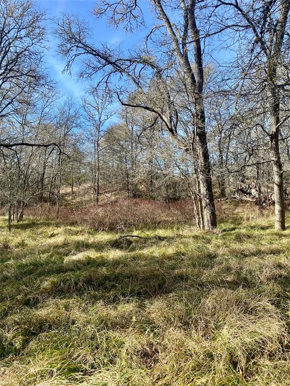 000 County Road 123 Property Photo 2