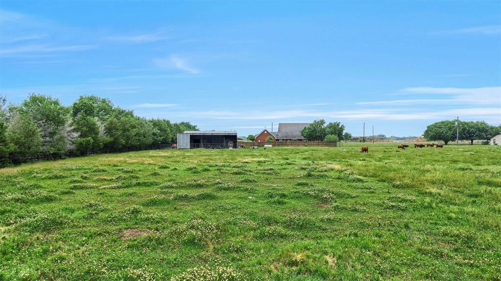 12153 Mustang Road Property Photo 6