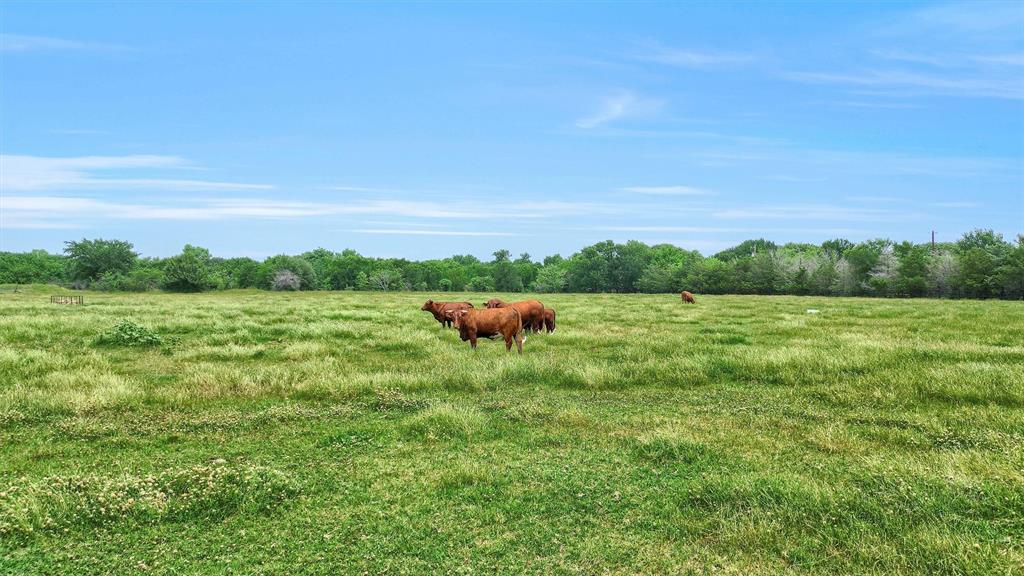 12153 Mustang Road Property Photo 7
