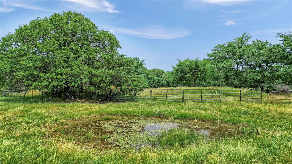 12153 Mustang Road Property Photo 16