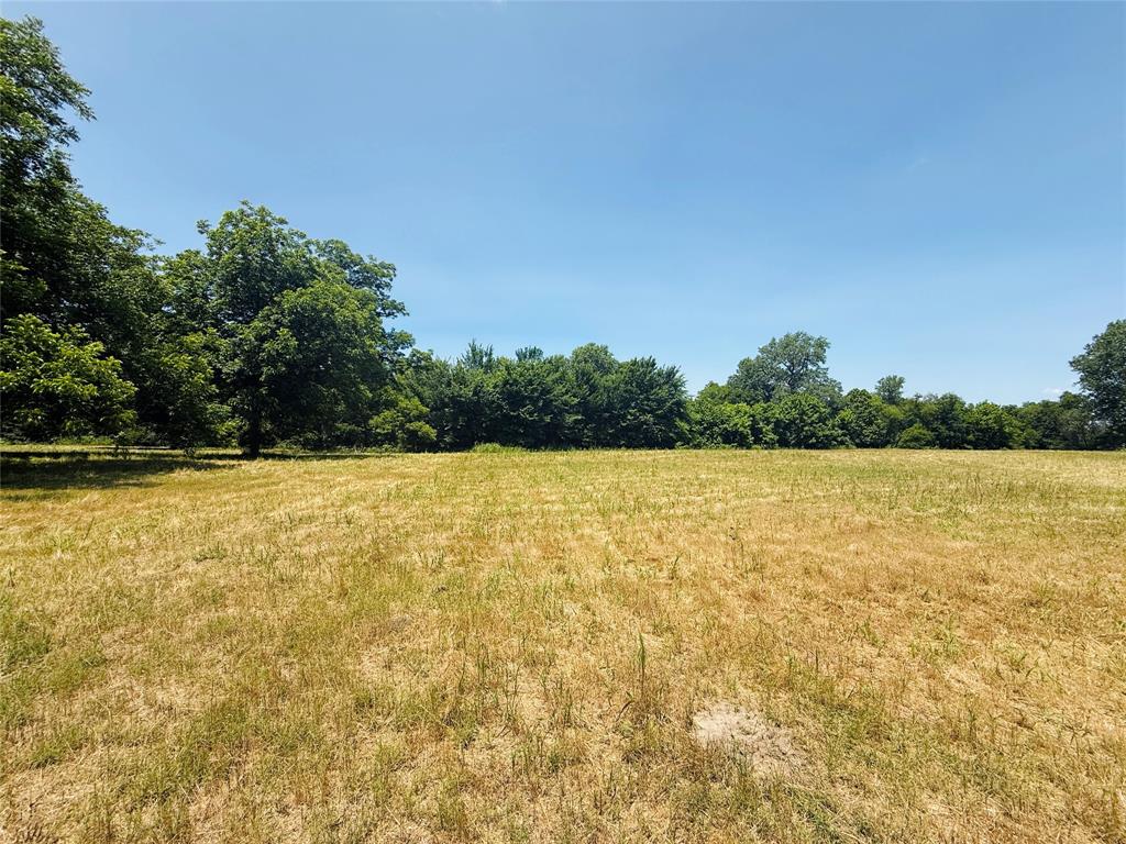 1104 O'neal Street Property Photo 11