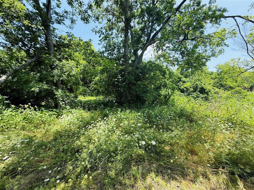 1104 O'neal Street Property Photo 21