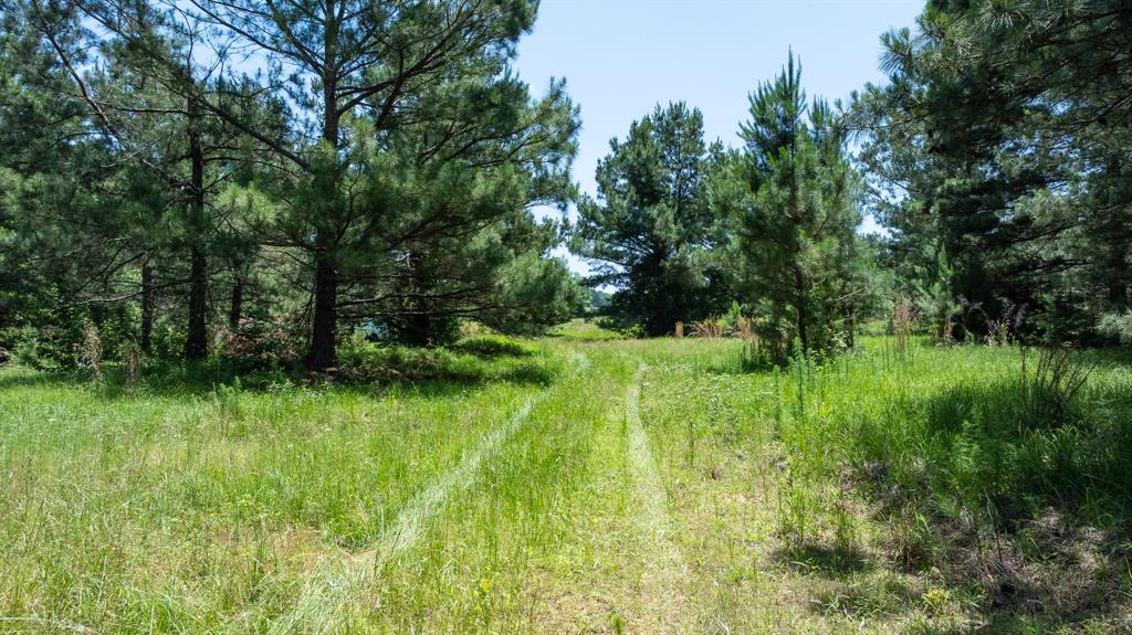 Tbd Fm-16 Property Photo 1