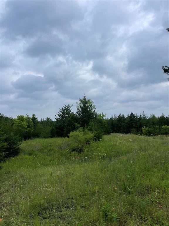 23 County Road 2950