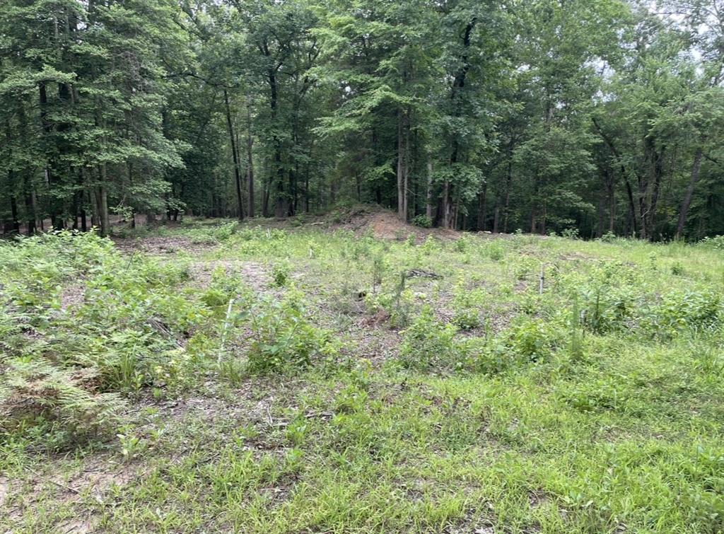 1688 County Road 1597 Property Photo 1