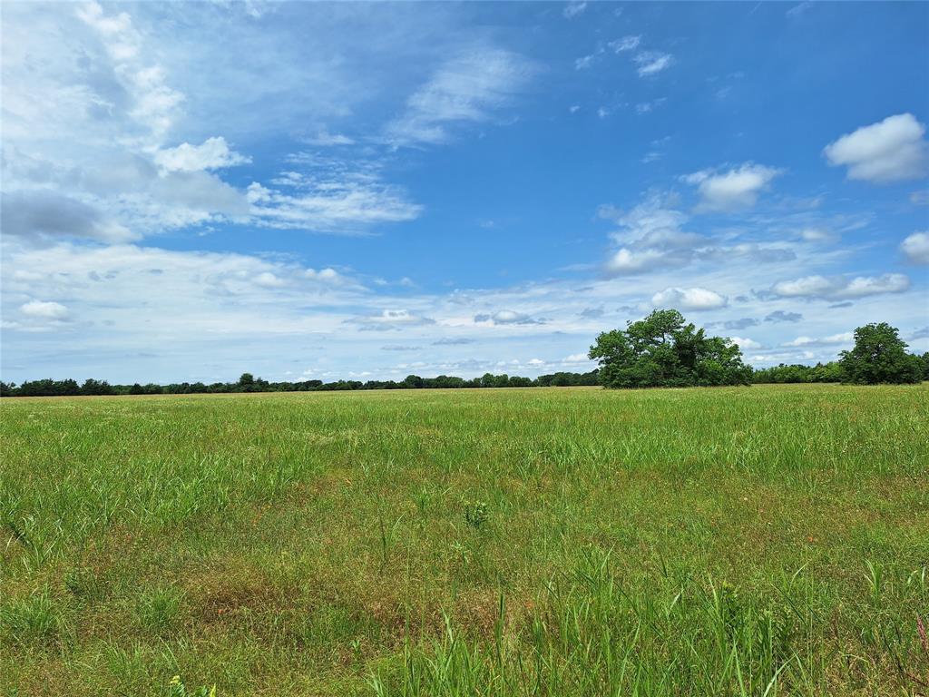 2403 County Road 3210 Property Photo 1