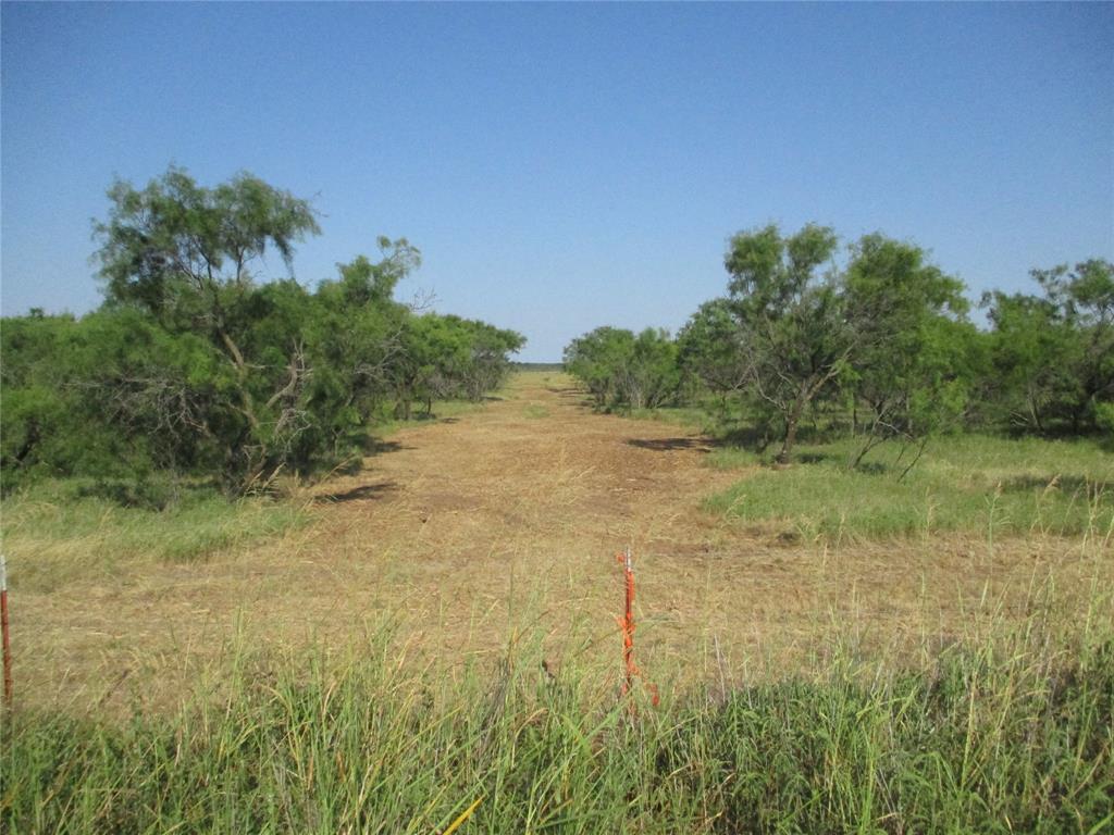 Tr 2 Big Sandy Property Photo 1