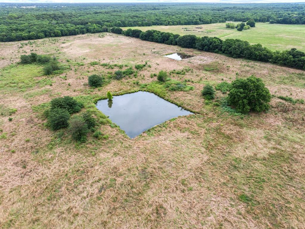 0000 County Road 2085 Property Photo 3
