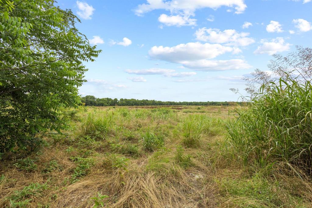 0000 County Road 2085 Property Photo 24