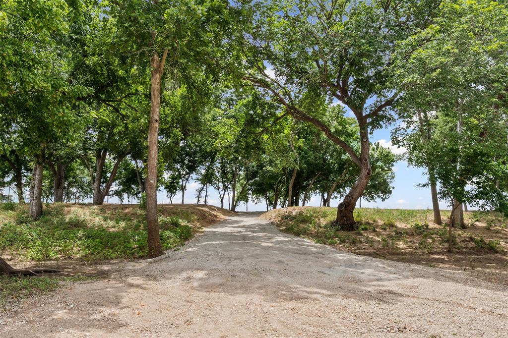 Tbd Pr 3665 Road Property Photo 2