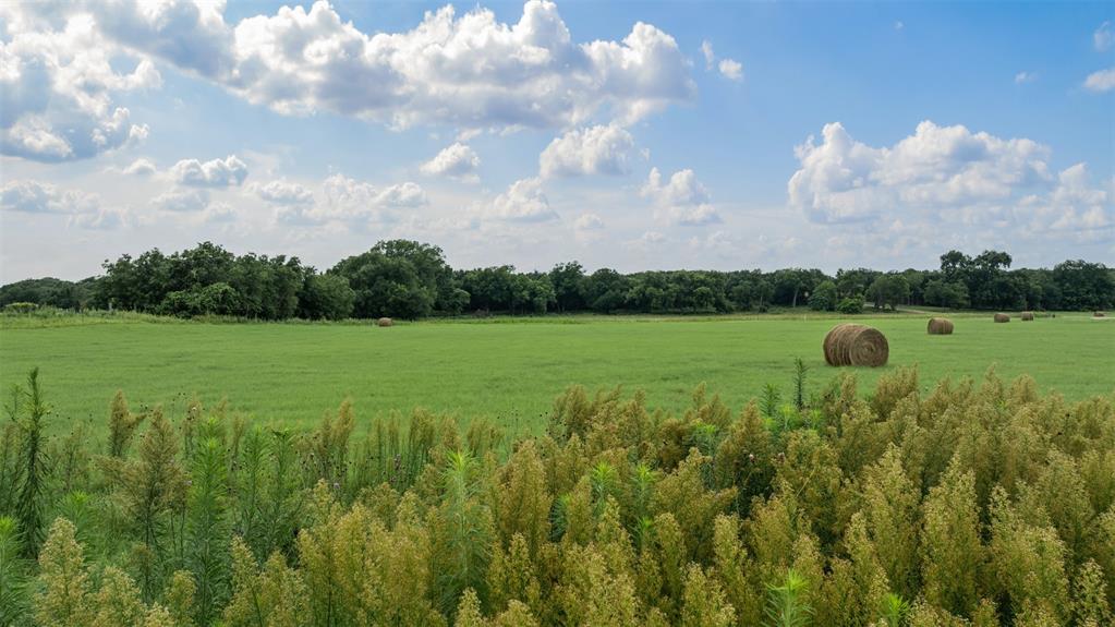 Tbd Pr 3665 Road Property Photo 23