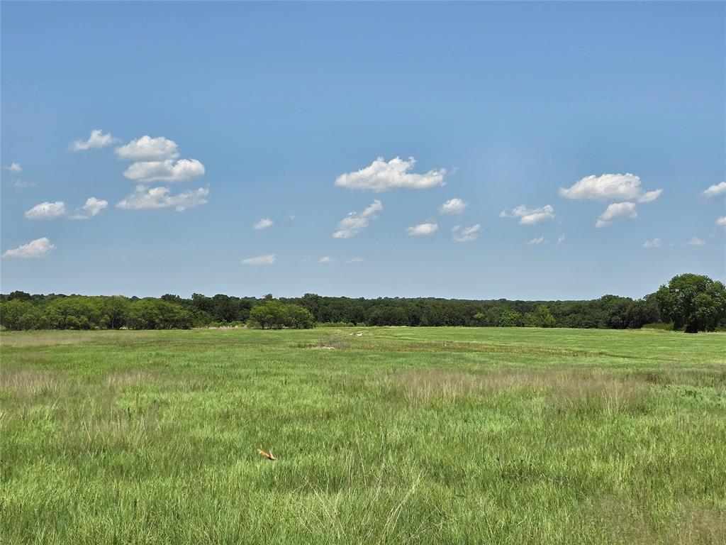 1750 County Road 173 Property Photo 1