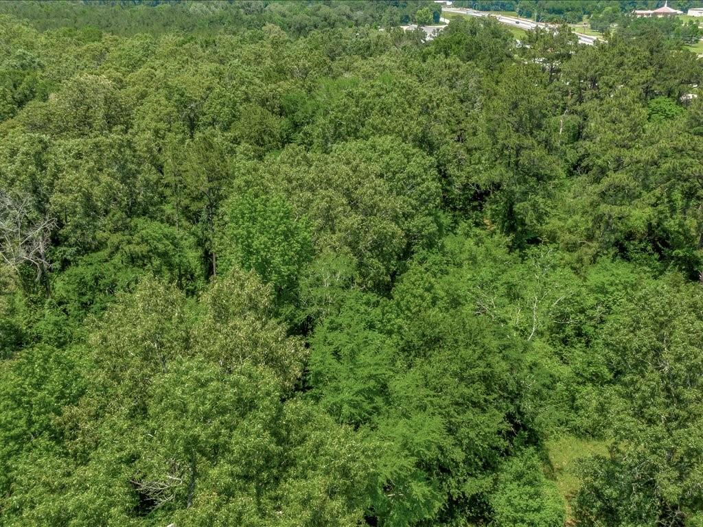 410 S Medford Drive Property Photo 12