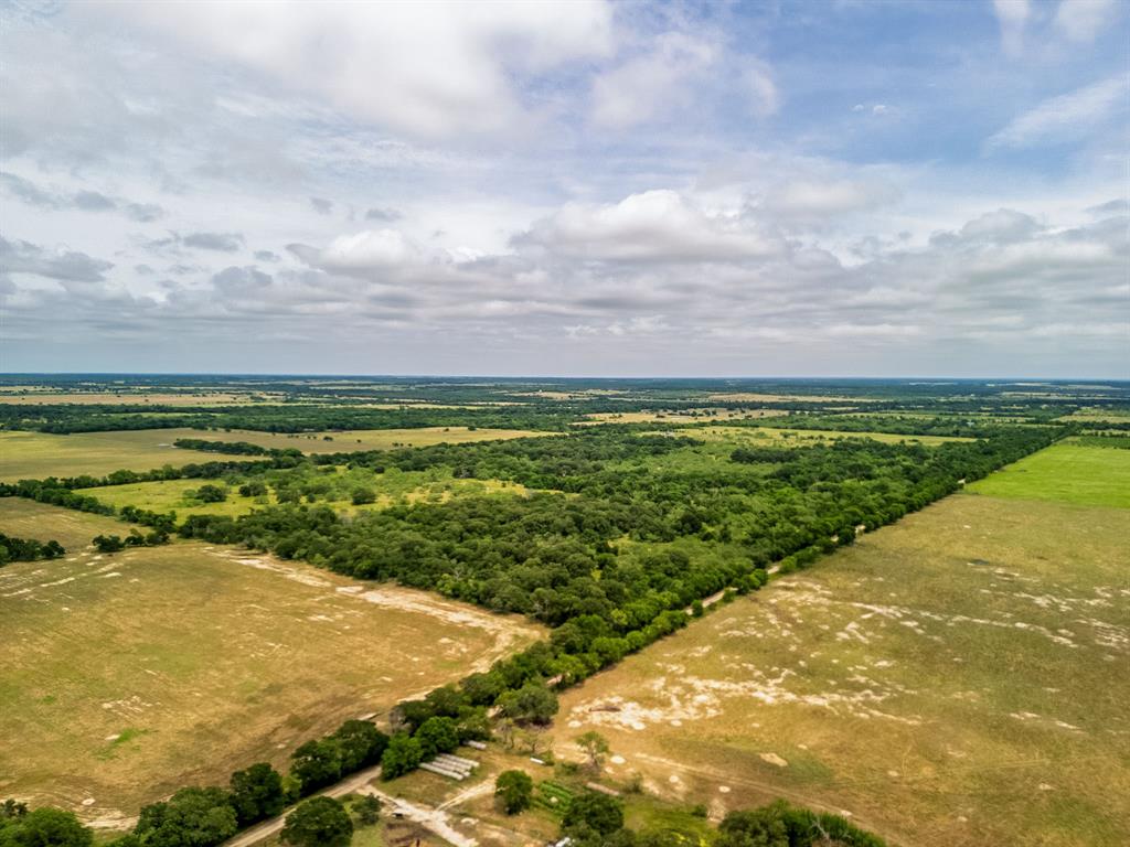 35 Acres County Road 159 Property Photo 1