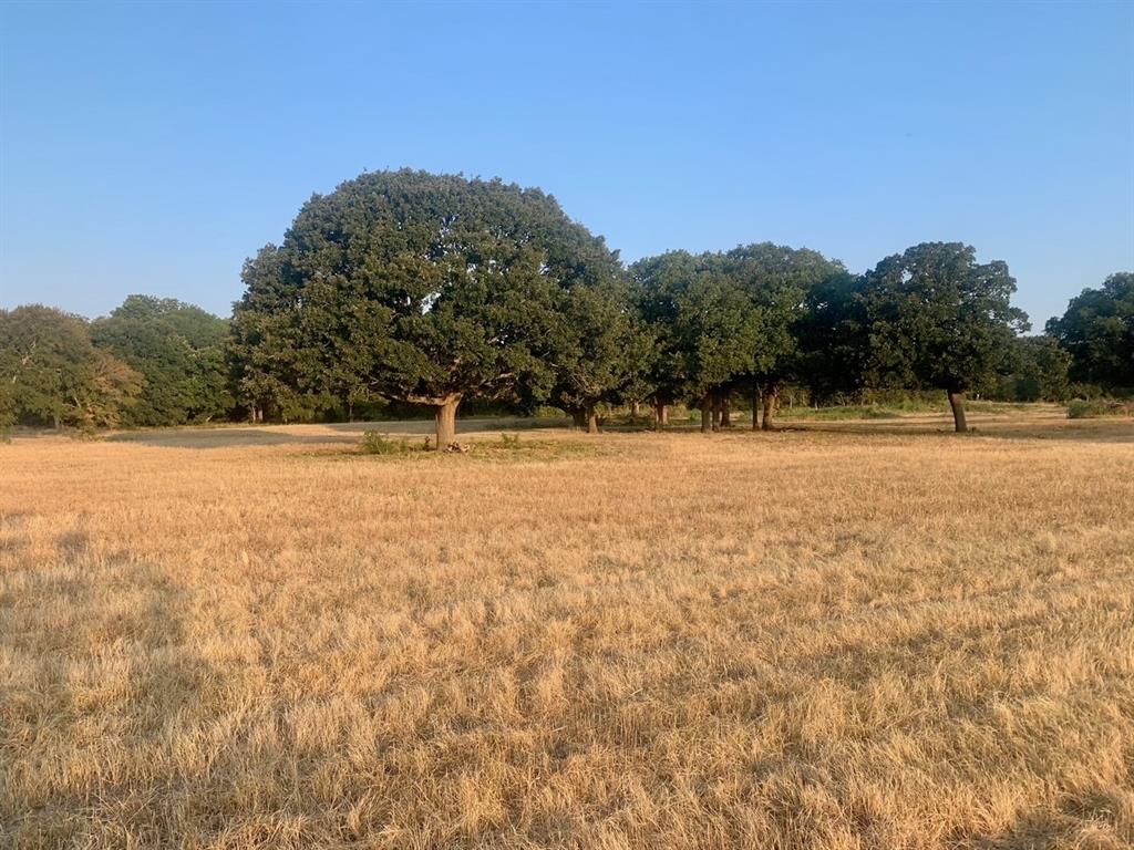 Tbd County Road 4410 Property Photo 1