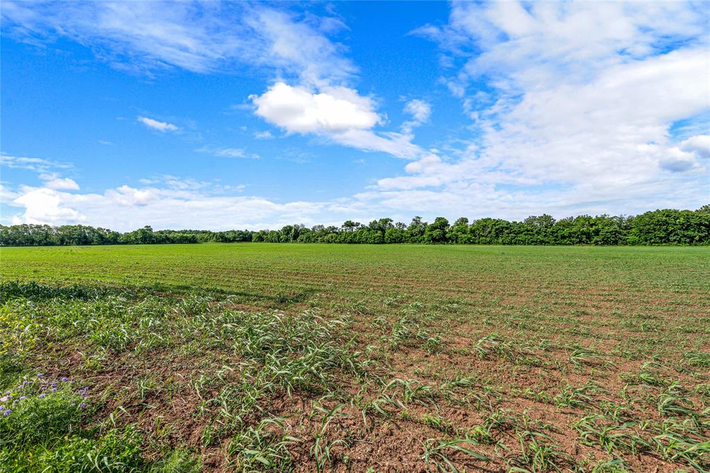 Tbd Bogey Lane Property Photo 33