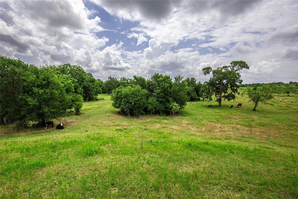 Tbd Fm 147 Property Photo 3