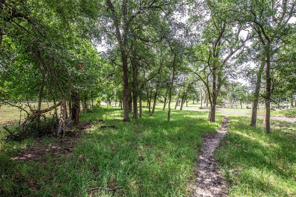 Tbd Fm 147 Property Photo 4