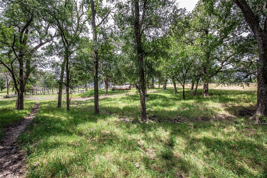 Tbd Fm 147 Property Photo 5