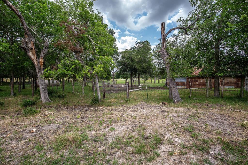 Tbd Fm 147 Property Photo 8