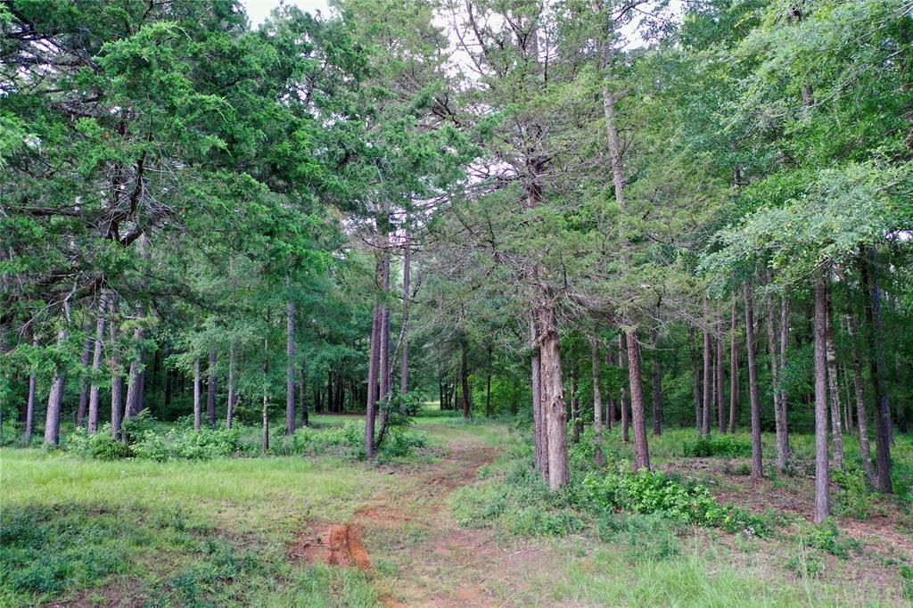 2219 Acr 1217 Property Photo 29
