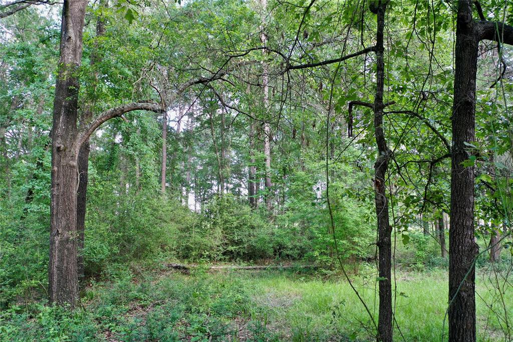2219 Acr 1217 Property Photo 34