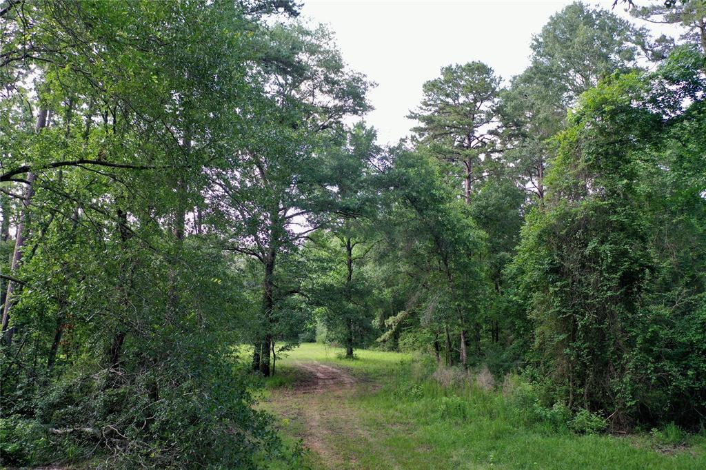 2219 Acr 1217 Property Photo 35